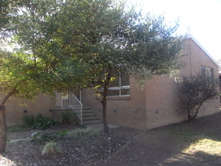 Main Photo (2011-05-09)