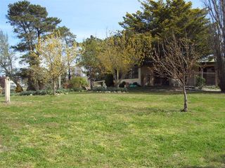 Garden (2009-10-24)
