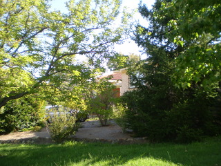 Frontyard (2014-03-13)