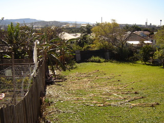 Backyard (2005-09-05)
