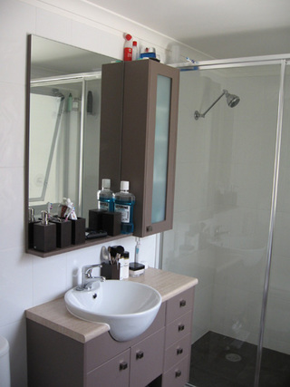 Bathroom (2007-02-20)