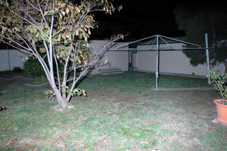 Backyard (2007-05-24)