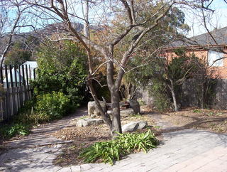 Garden (2006-06-21)