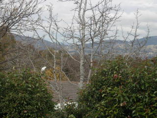 Views from Rear Deck (2010-07-19)
