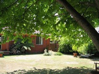 Backyard (2004-02-03)