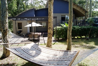 Back view (2011-02-08)