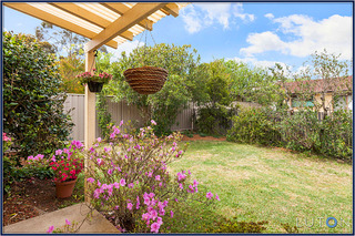 Backyard (2014-12-03)