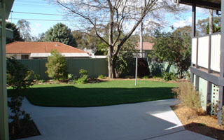 Backyard (2007-08-21)
