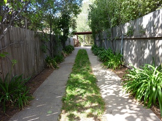 Driveway (2014-03-17)