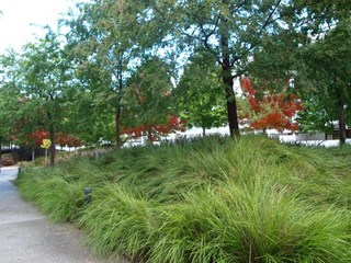 Complex central gardens (2017-11-01)