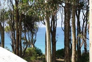 View (2011-02-08)