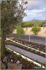 Park view (2009-12-07)