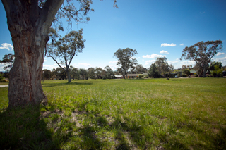 Parkland opposite (2010-12-16)