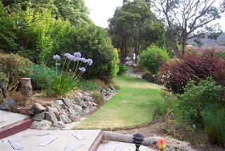 Front garden (2006-01-16)