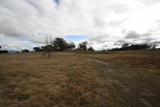 Standard Photo (2011-09-12)