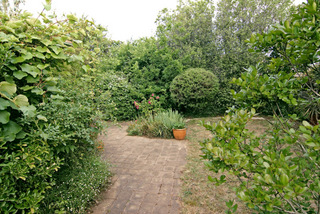 Backyard (2009-12-01)