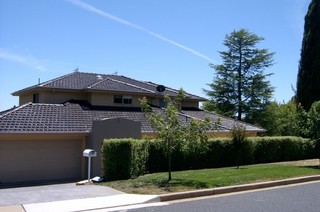 side view (2007-02-02)