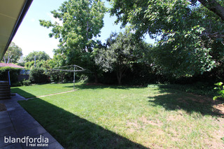 Standard Photo (2014-08-21)