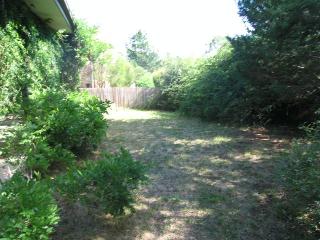 Garden (2010-06-09)
