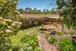 Backyard (2016-11-03)