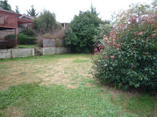 Backyard (2012-11-28)