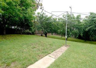 Backyard (2010-12-02)