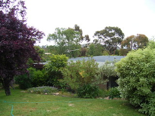 Backyard (2005-11-24)