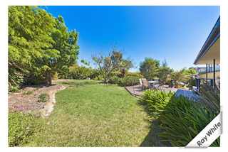 Frontyard (2013-11-07)