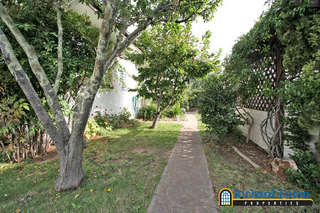 Garden (2006-01-25)