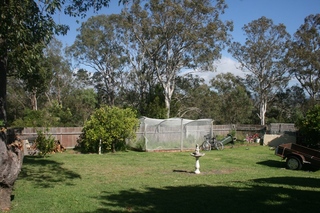 Garden (2013-12-16)