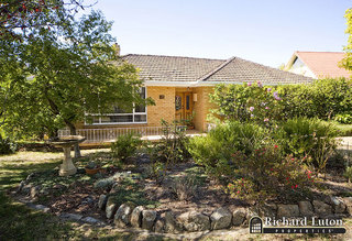 Front garden (2009-04-16)