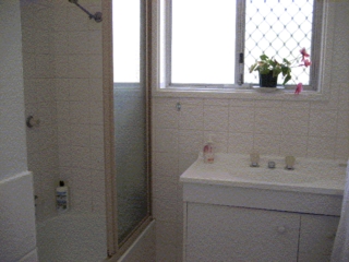 Bathroom (2009-04-22)