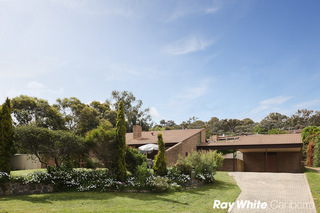 Main Photo (2010-11-17)