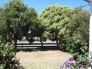 Frontyard (2006-10-14)