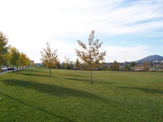 Oppostie Oval (2006-05-01)