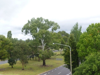View (2011-03-11)