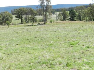 (2015-05-06)