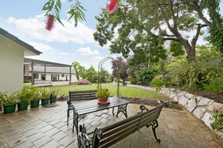 Rear Garden (2011-11-10)