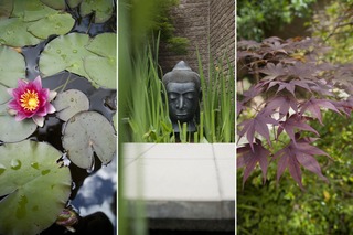 Garden (2015-11-21)