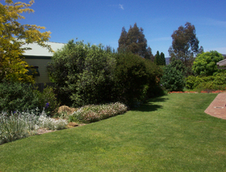 Rear yard (2004-11-18)