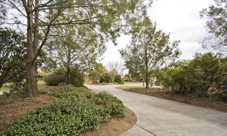Driveway (2009-07-08)