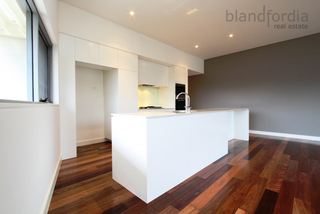 Kitchen (2011-06-02)