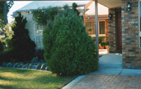 Main (2001-06-11)