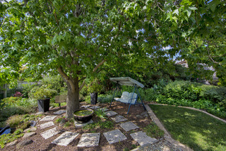 Garden (2013-11-08)