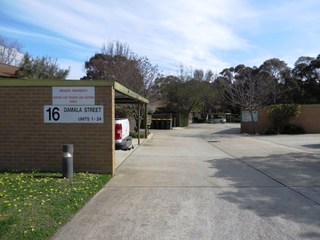 Driveway (2014-09-15)