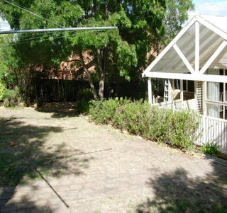 Backyard (2006-03-21)