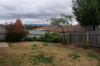 Backyard (2013-05-31)