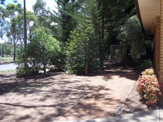 Front yard (2006-02-08)