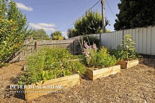 Vegie Patch (2012-12-12)