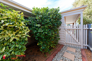 Side rear yard behind carport (2017-10-10)